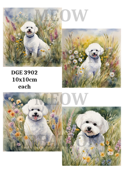 Decoupage Rice Paper – DGE 3902