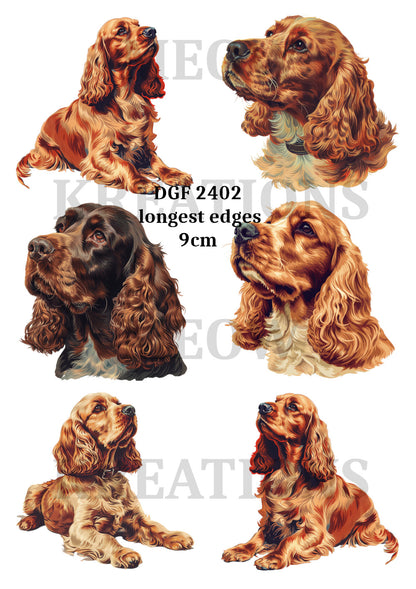Cocker Spaniel Portraits Decoupage Rice Paper - DGF 2402