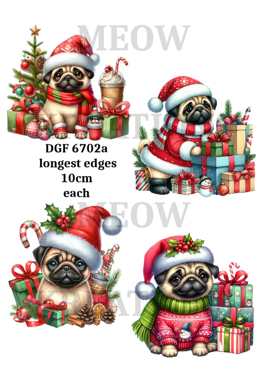 DGF 6702a