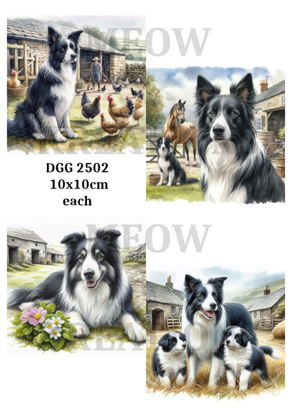 Border Collie & Puppy Dog Farm Decoupage Rice Paper - DGG 2502