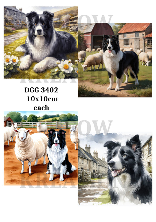 DGG 3402