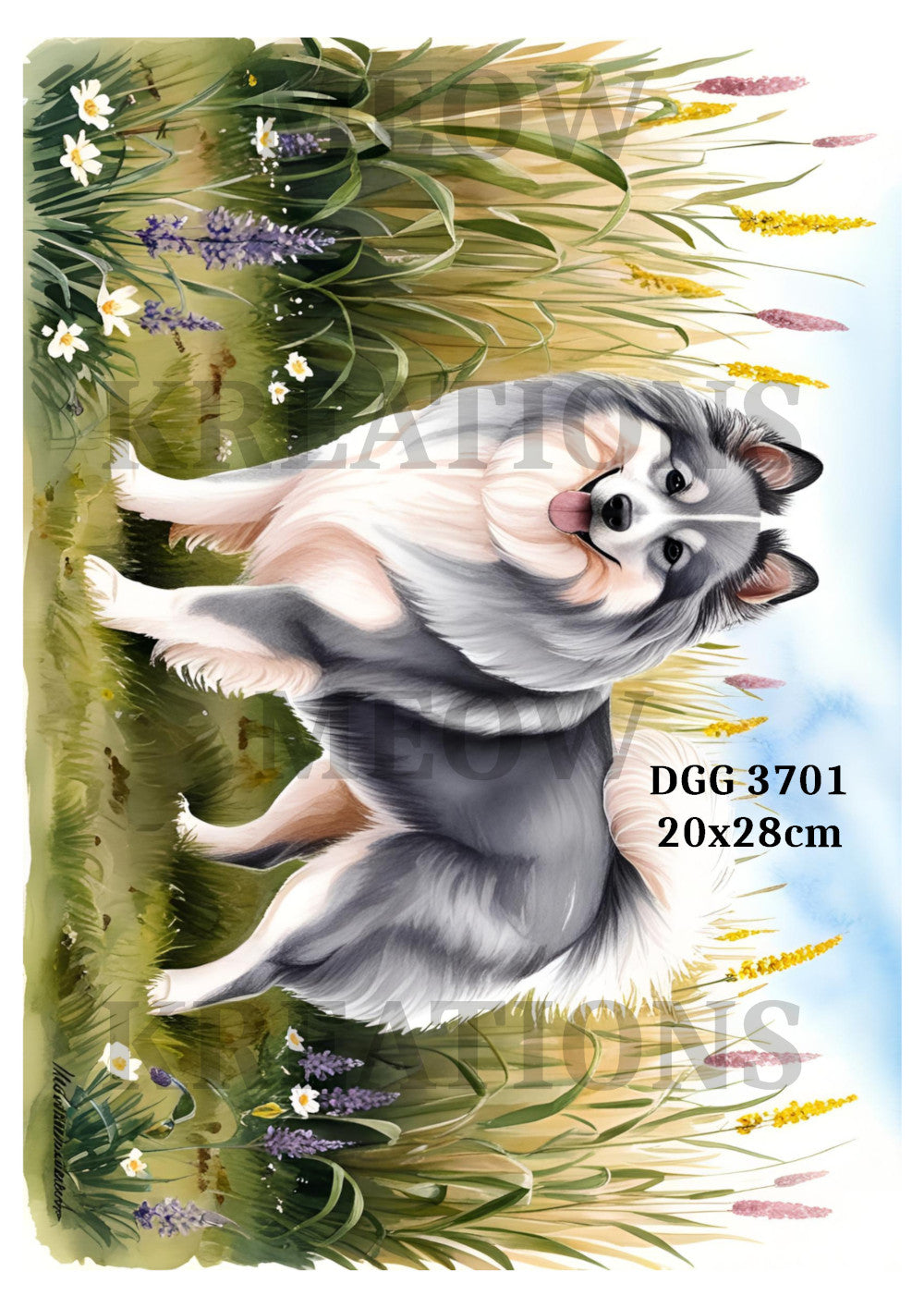 DGG 3701