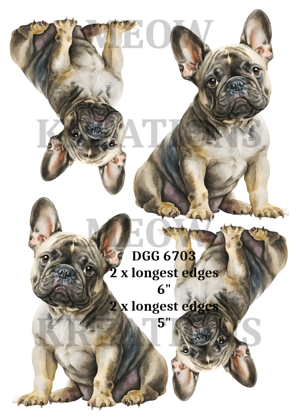 DGG 6703
