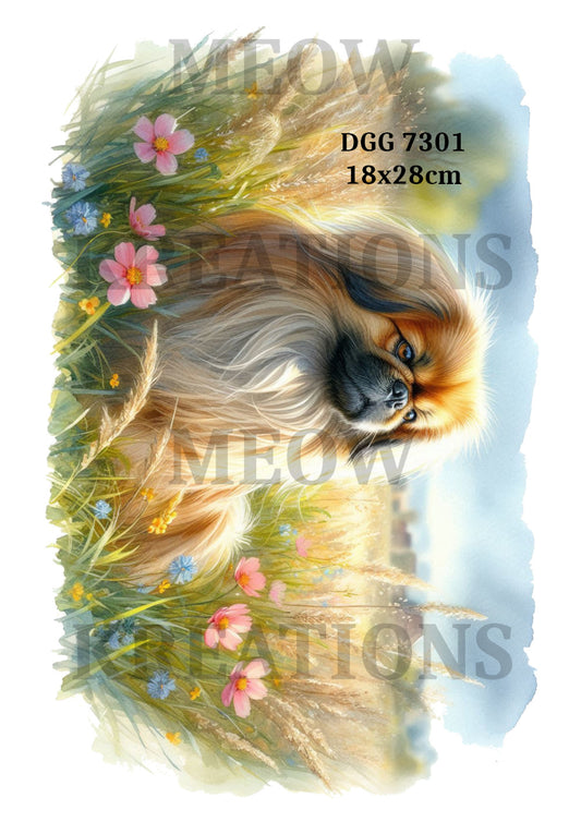 DGG 7301