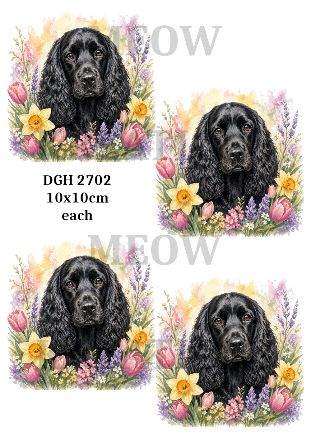 DGH 2702