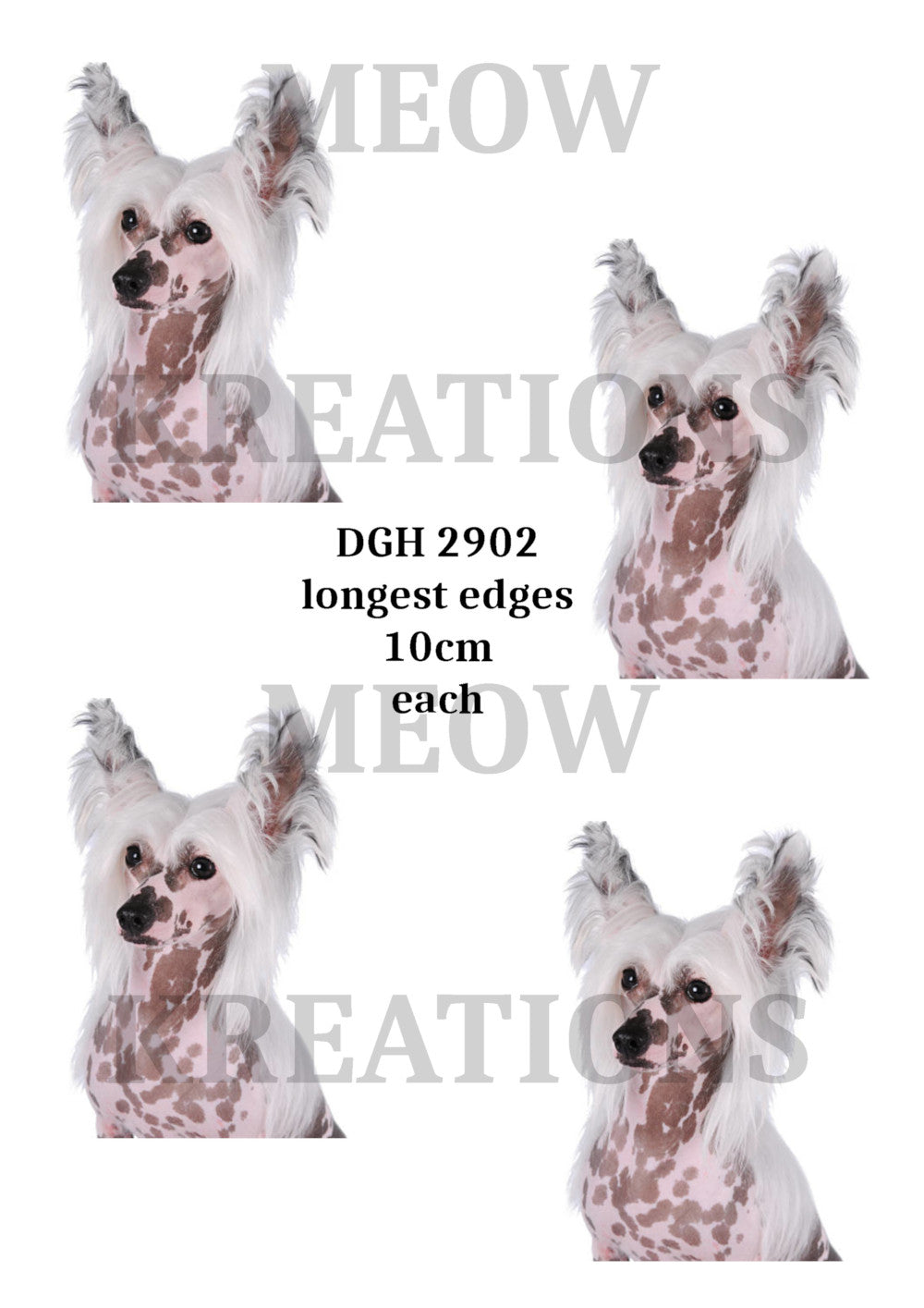 DGH 2902