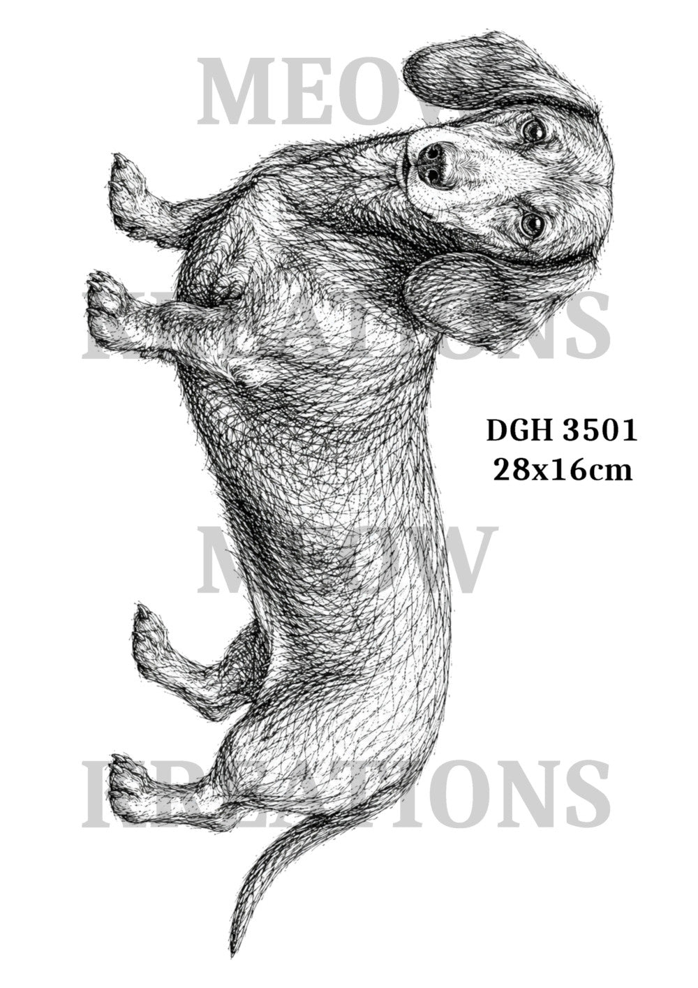 DGH 3501