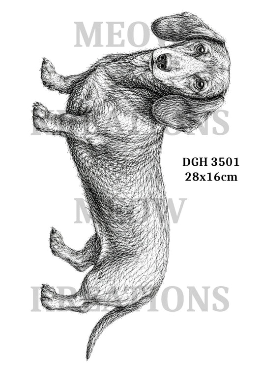 DGH 3501
