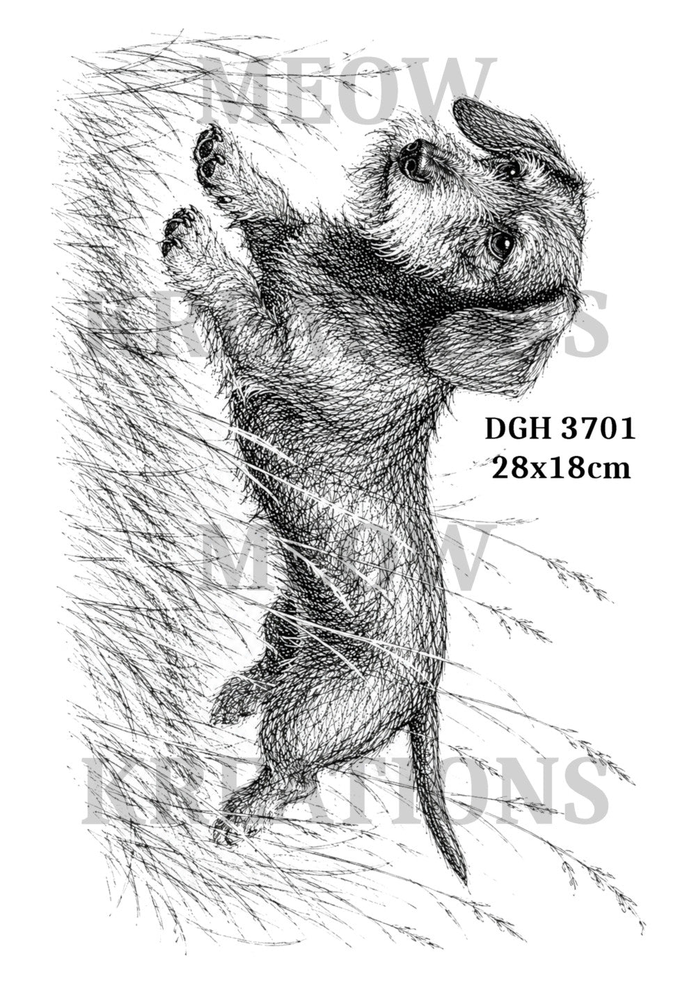 DGH 3701