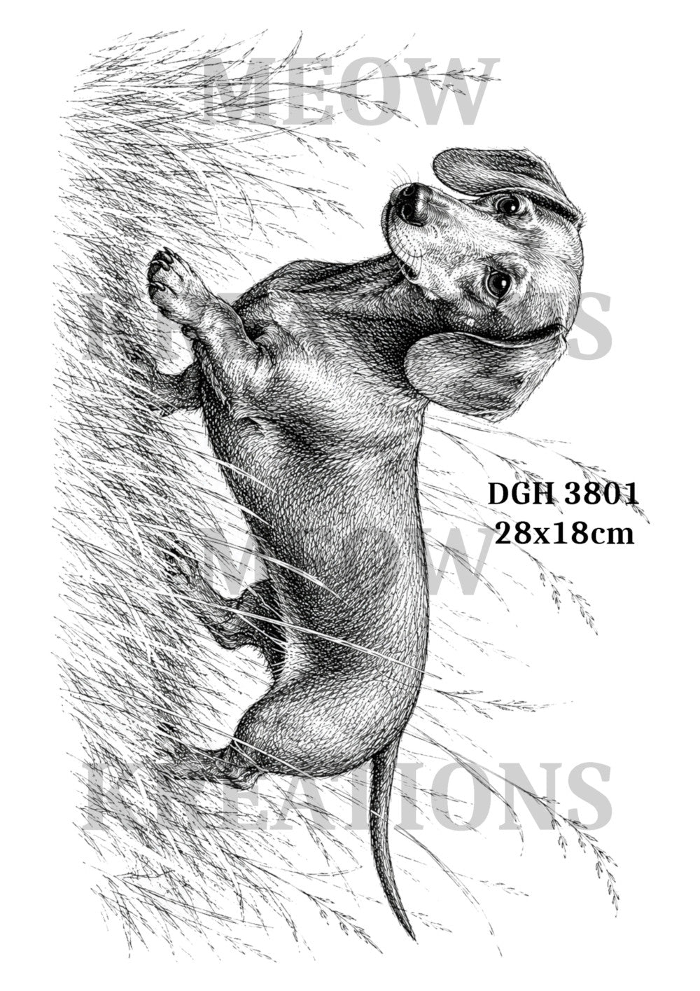 DGH 3801
