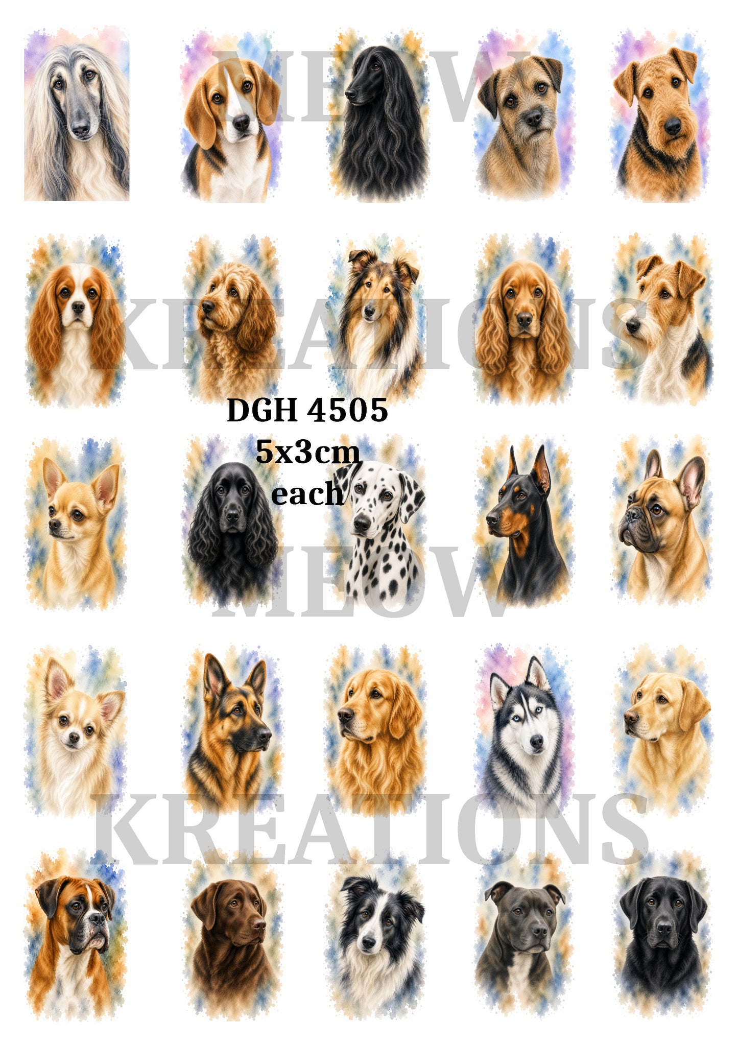 DGH 4505