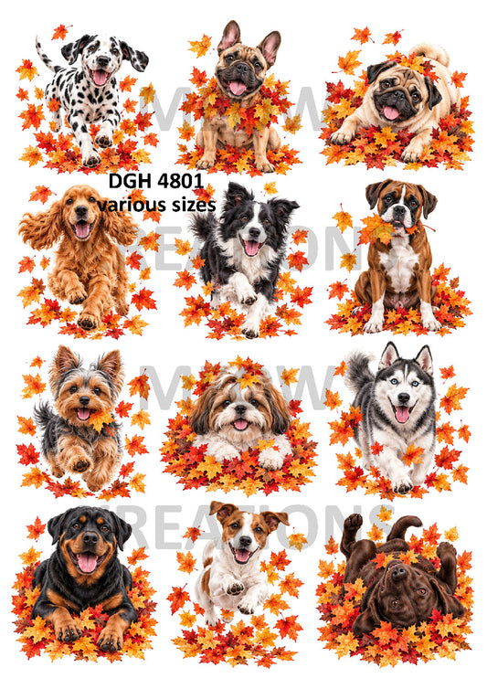 Autumn Dogs Collection Decoupage Rice Paper - DGH 4801