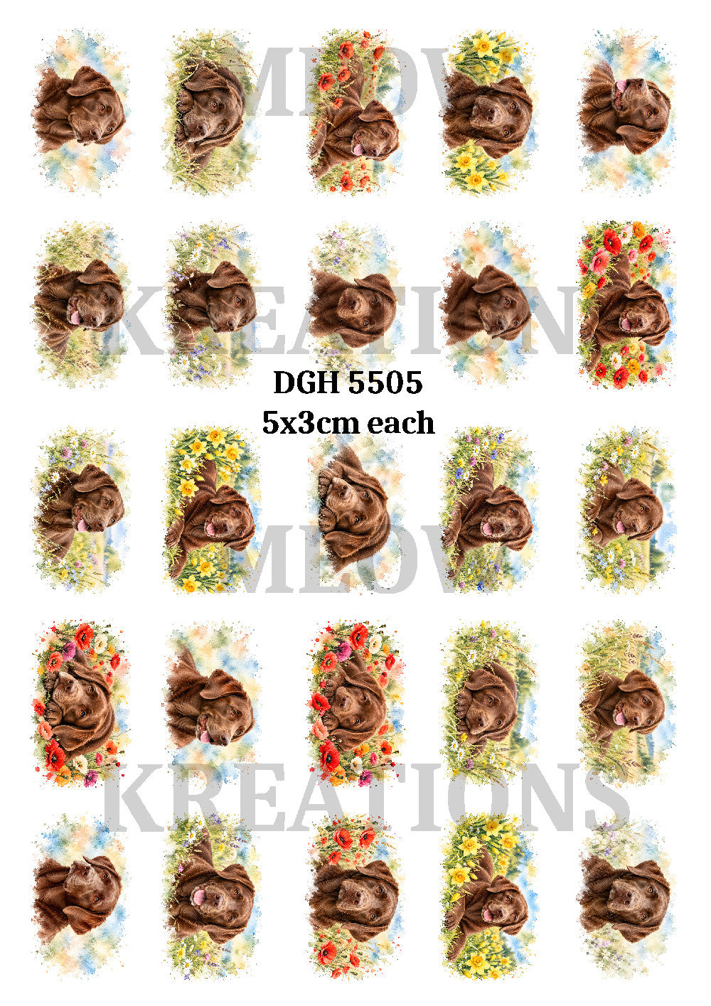 Chocolate Labrador Dogs & Colourful Flowers Decoupage Rice Paper - DGH 5505