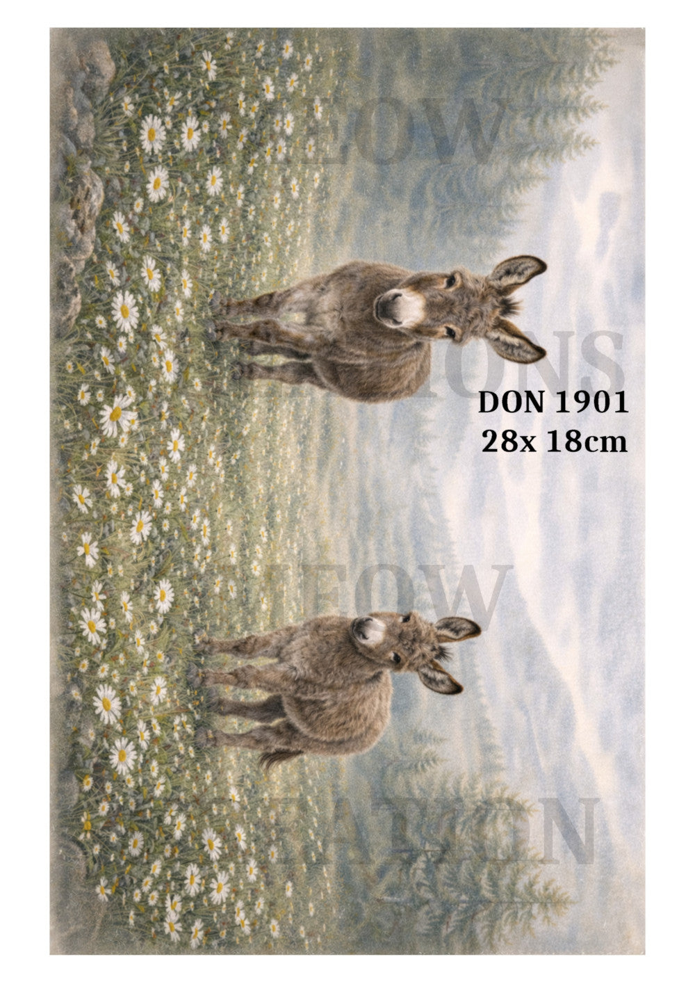 DON 1901