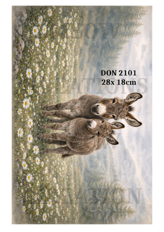 DON 2101