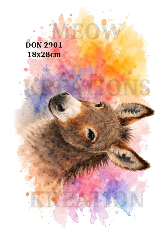 DON 2901