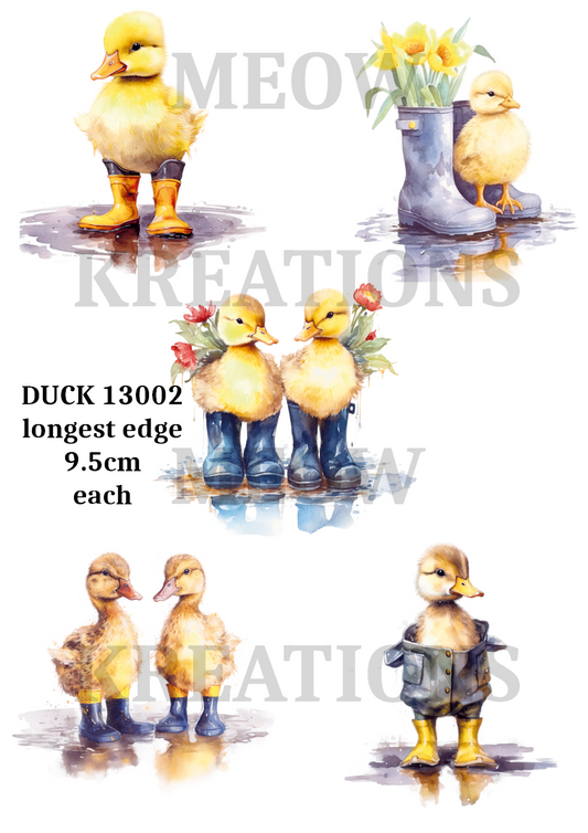 DUCK 13002