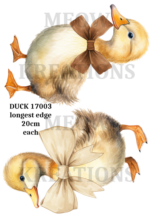 DUCK 17003