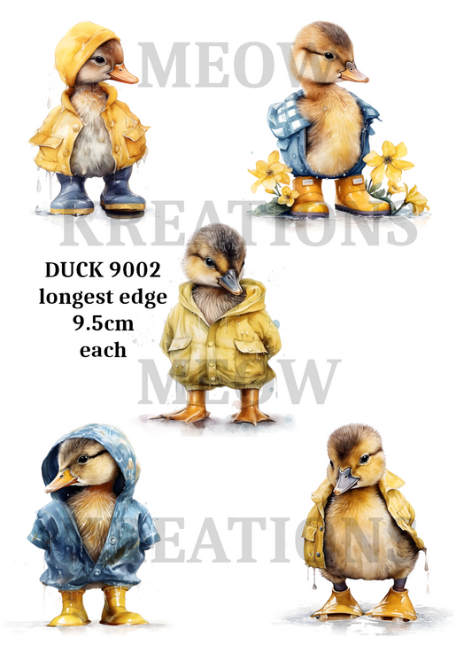 DUCK 9002