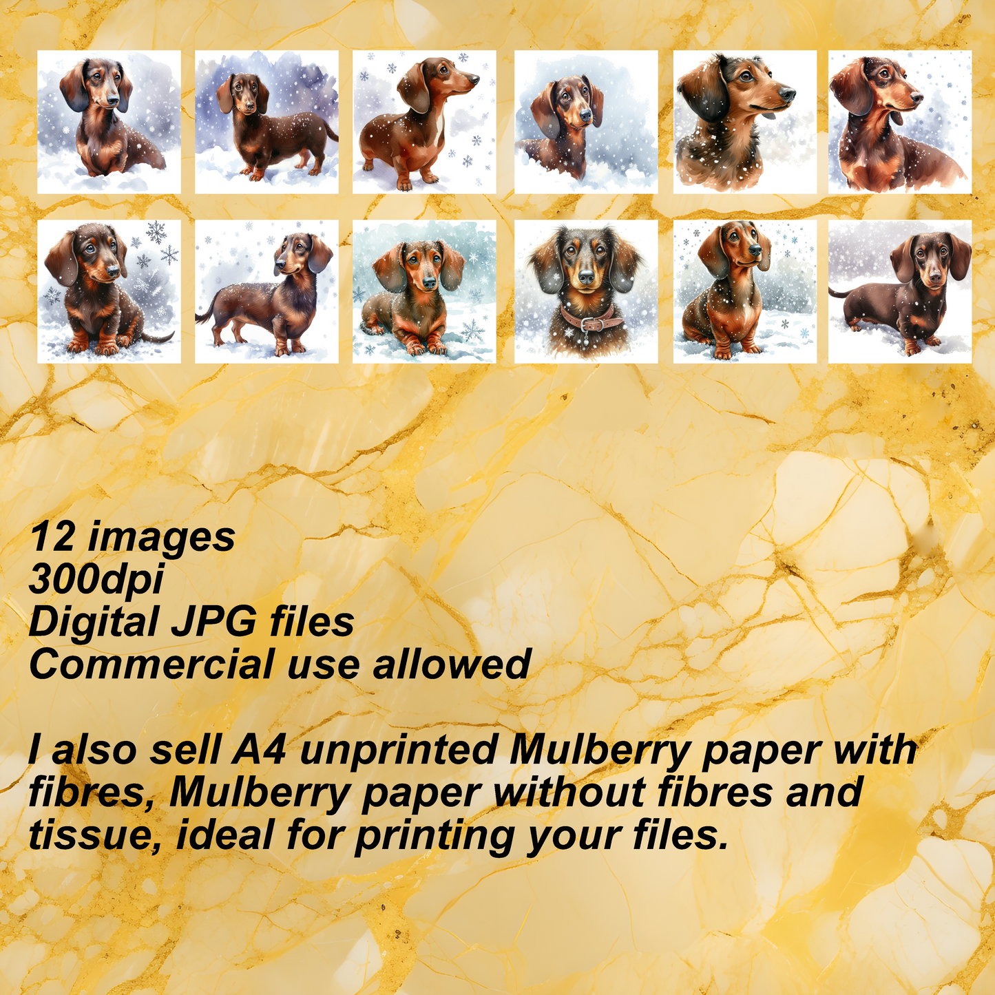 DD Dachshund Bundle 1