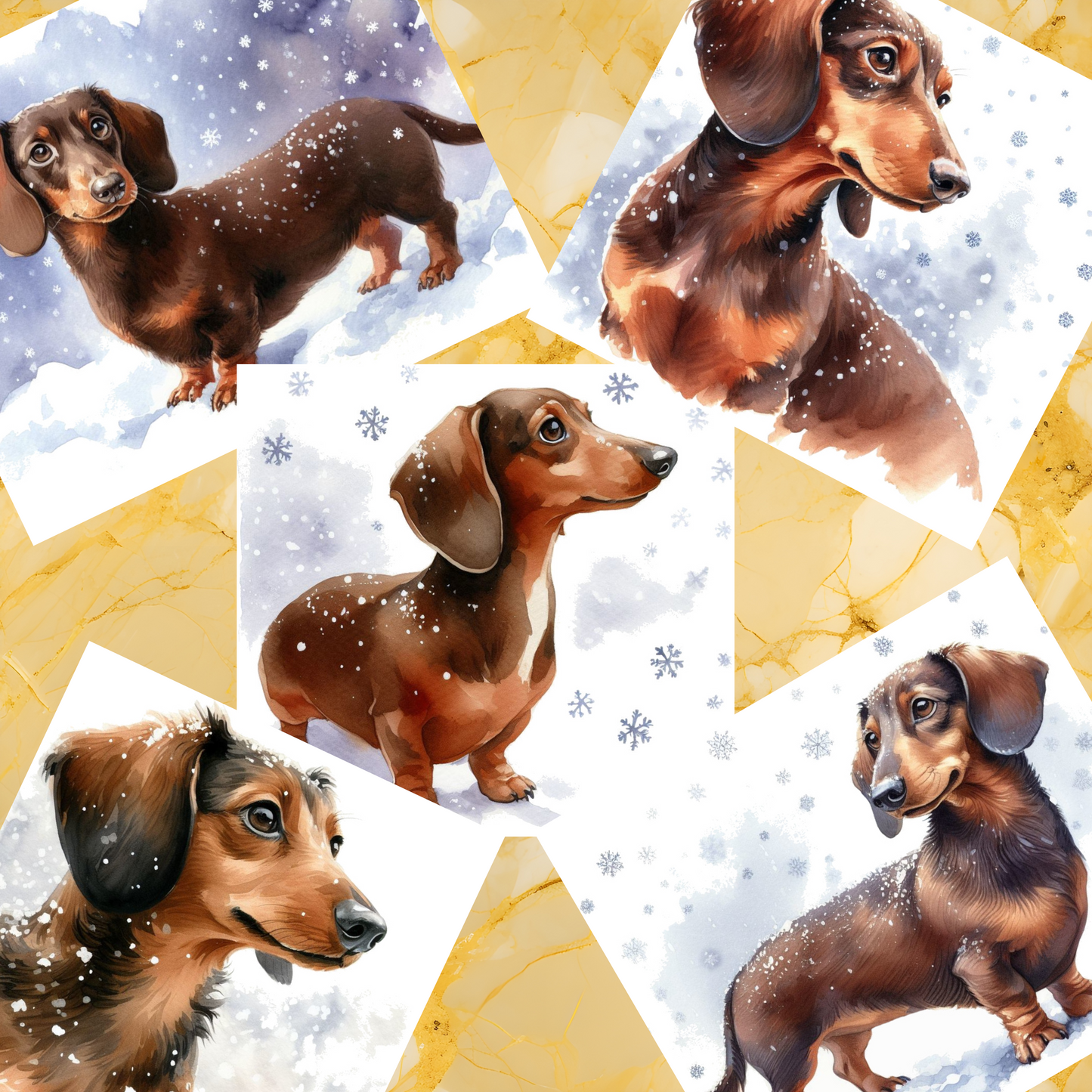 DD Dachshund Bundle 1