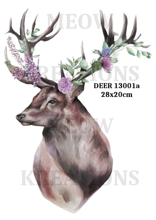 DEER 13001a