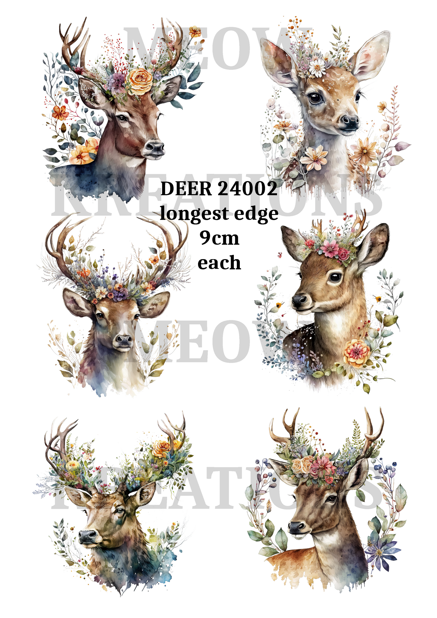 DEER 24002