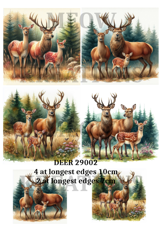 DEER 29002