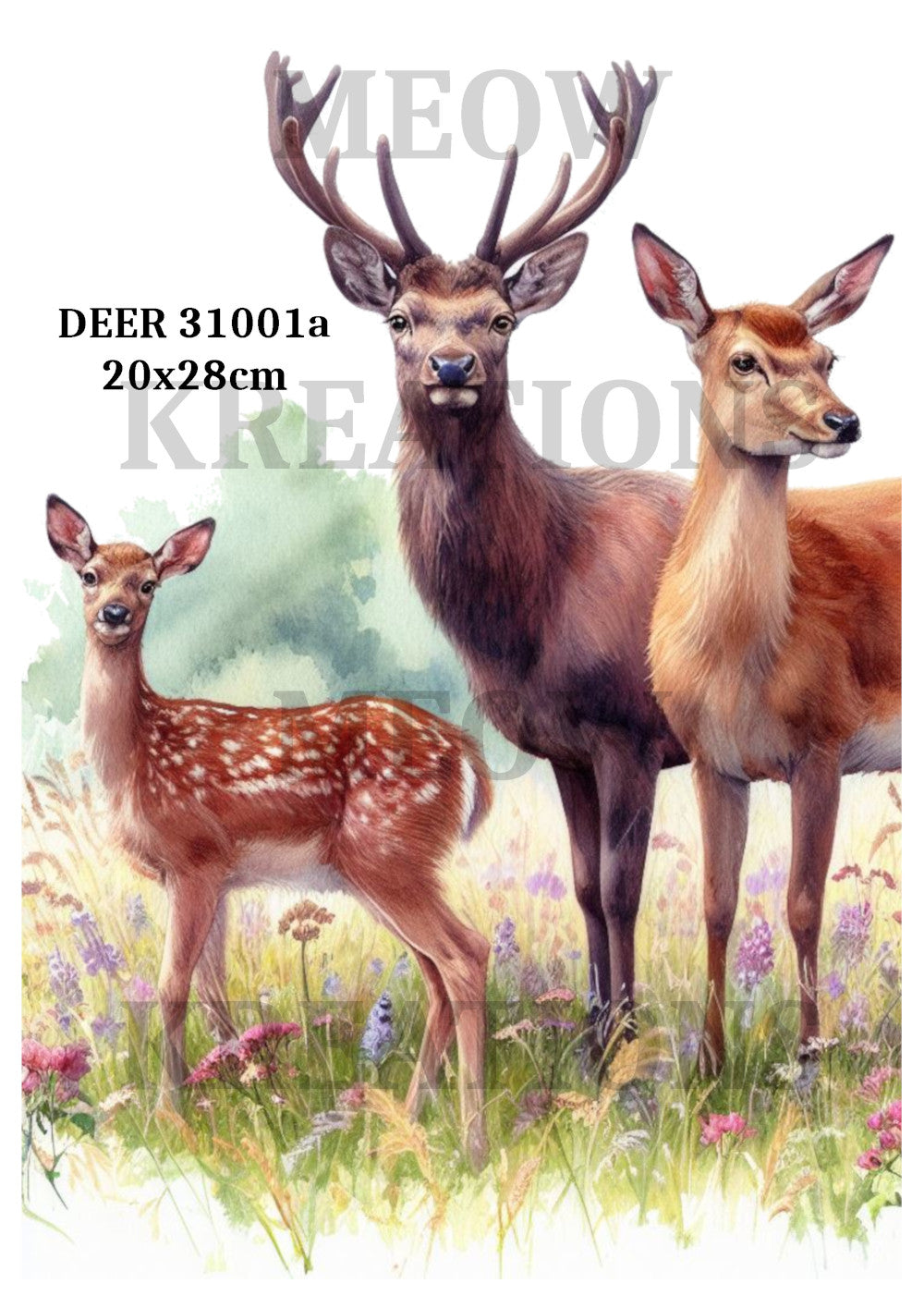 DEER 31001a