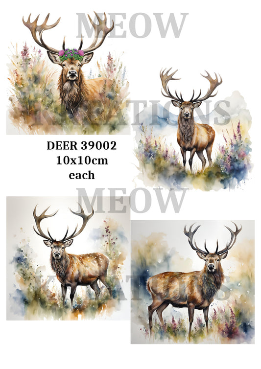 DEER 39002