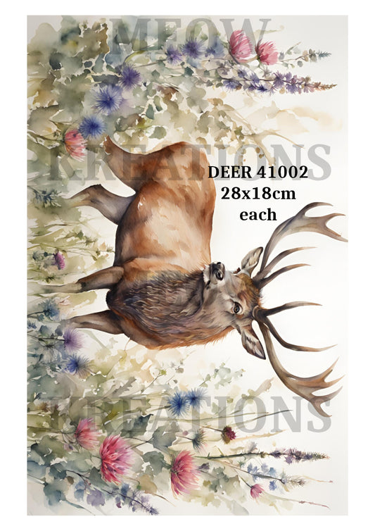 DEER 41002