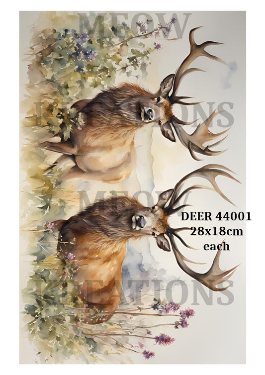 DEER 44001