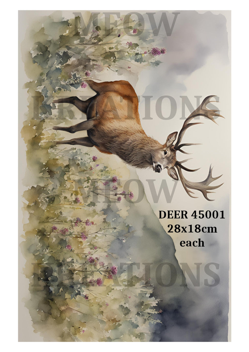 DEER 45001