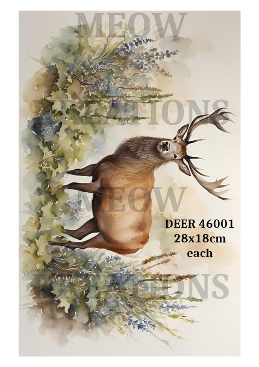 DEER 46001