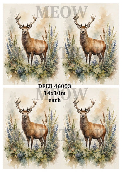 Majestic Stag Decoupage Rice Paper, Woodland Deer & Wildflowers - DEER 46003