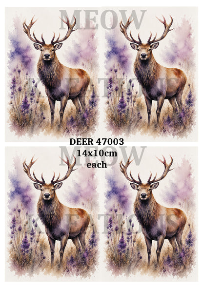 Majestic Stag Decoupage Rice Paper, Deer Thistles & Wildflowers - DEER 47003