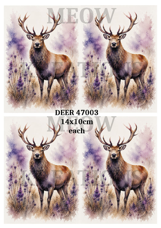Majestic Stag Decoupage Rice Paper, Woodland Deer & Wildflowers - DEER 47003