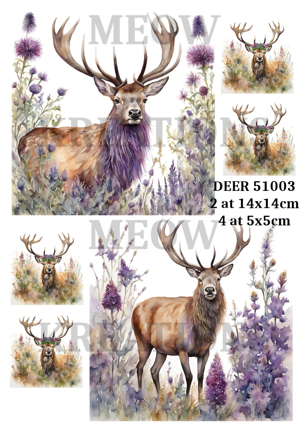 DEER 51003