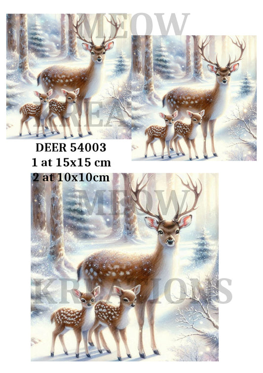DEER 54003