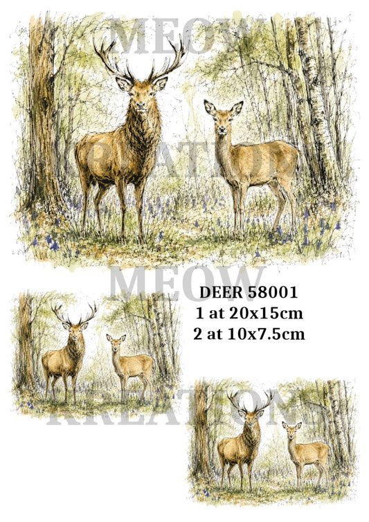 DEER 58001
