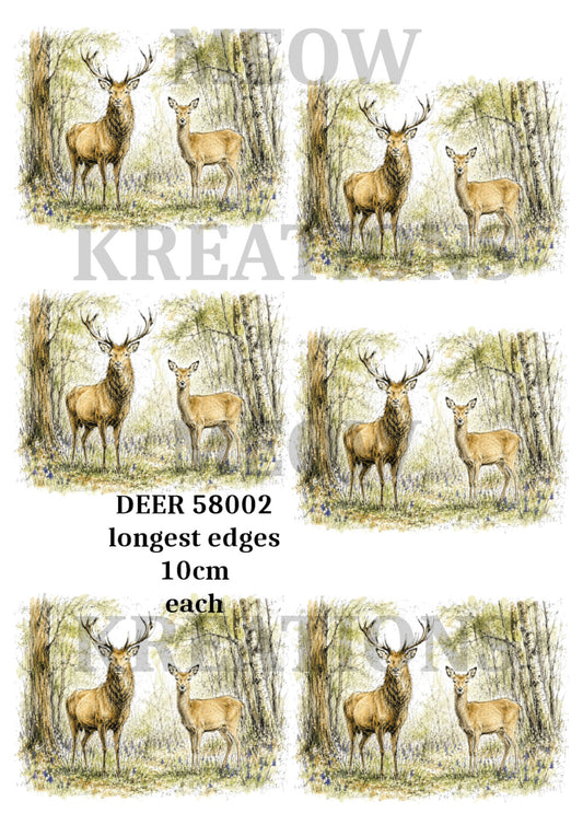 DEER 58002