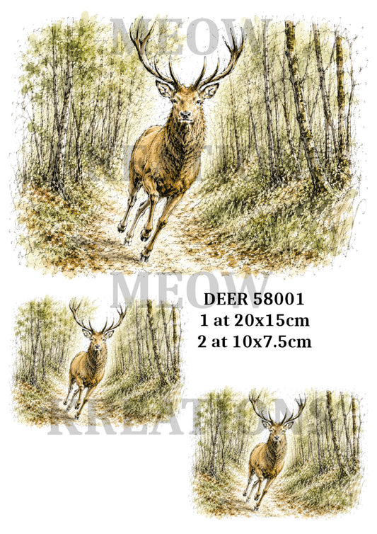 DEER 59001