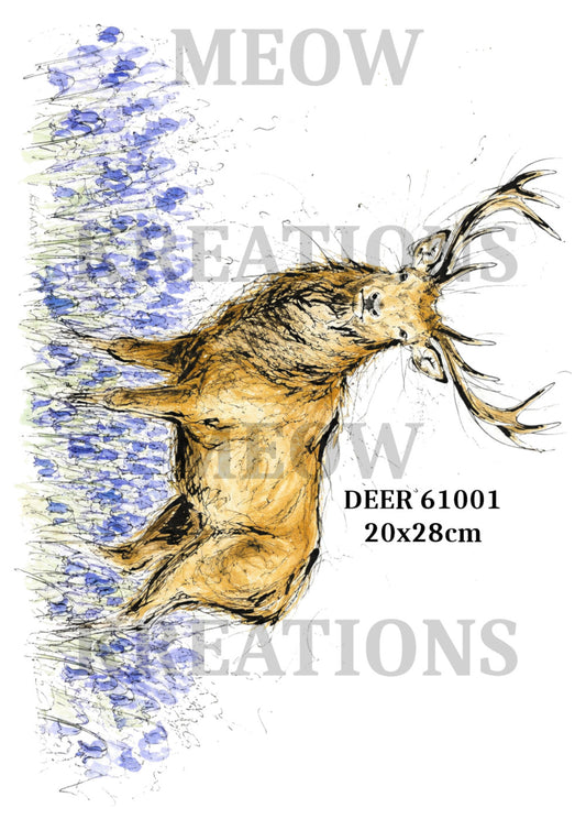 DEER 61001