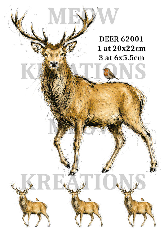 DEER 62001