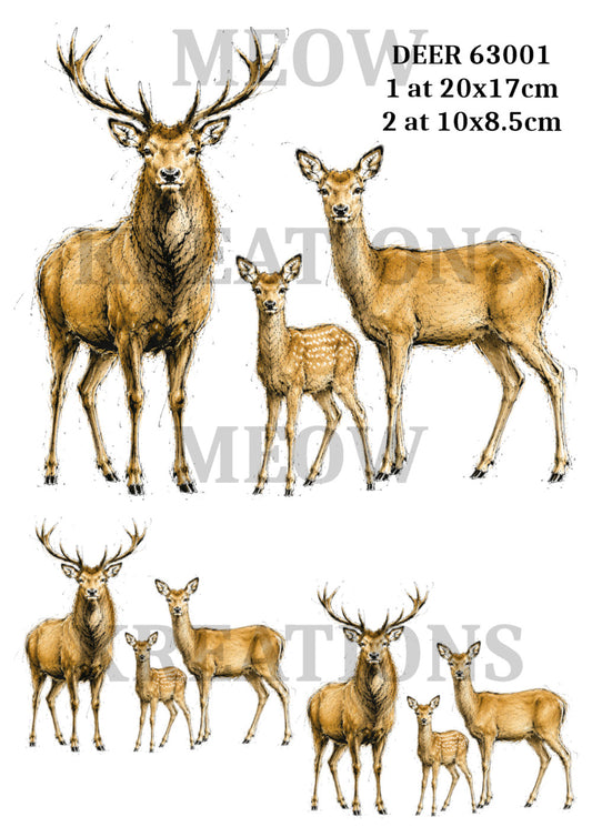 DEER 63001