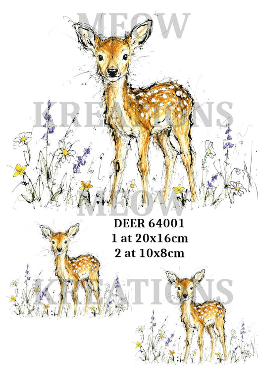 DEER 64001