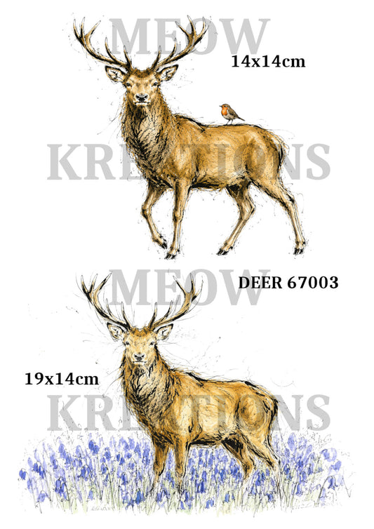 DEER 67003