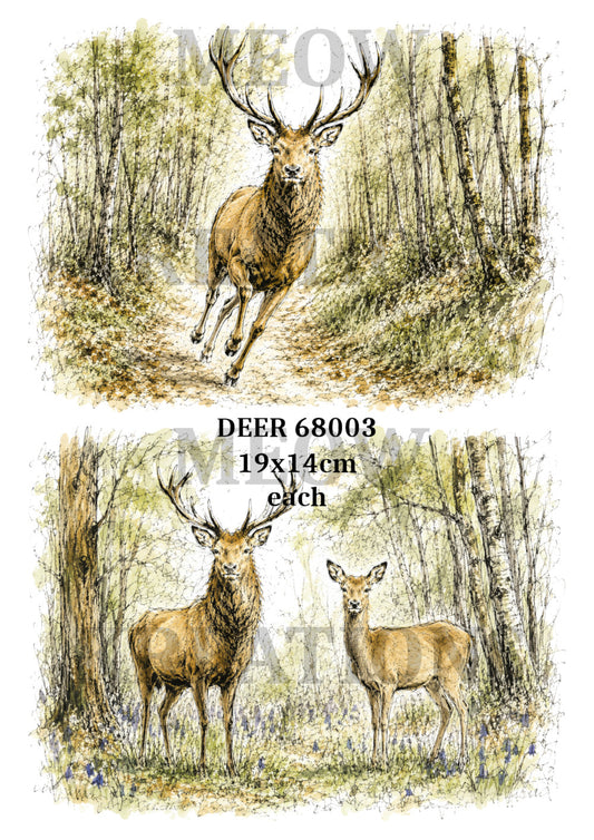 DEER 68003