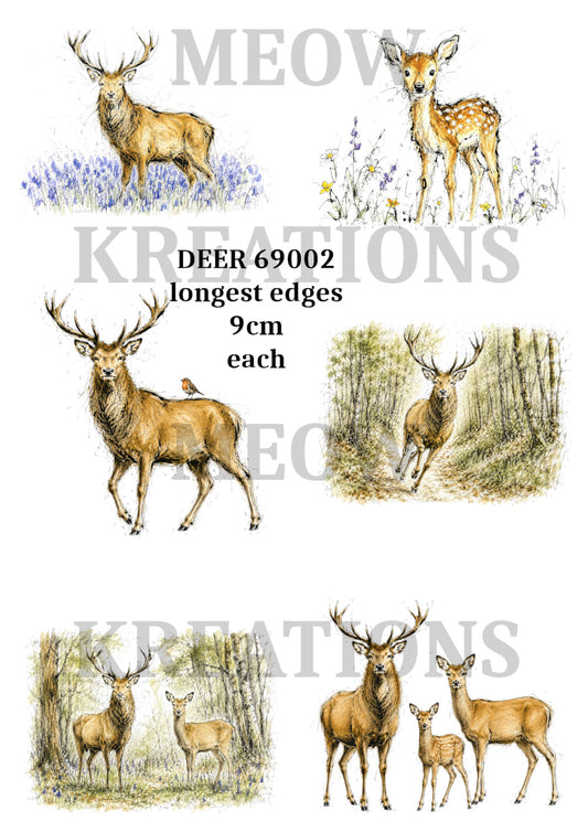 DEER 69002