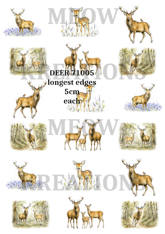 DEER 71005